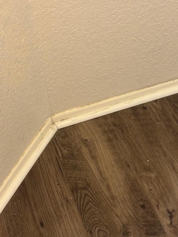 Before: dirty baseboard