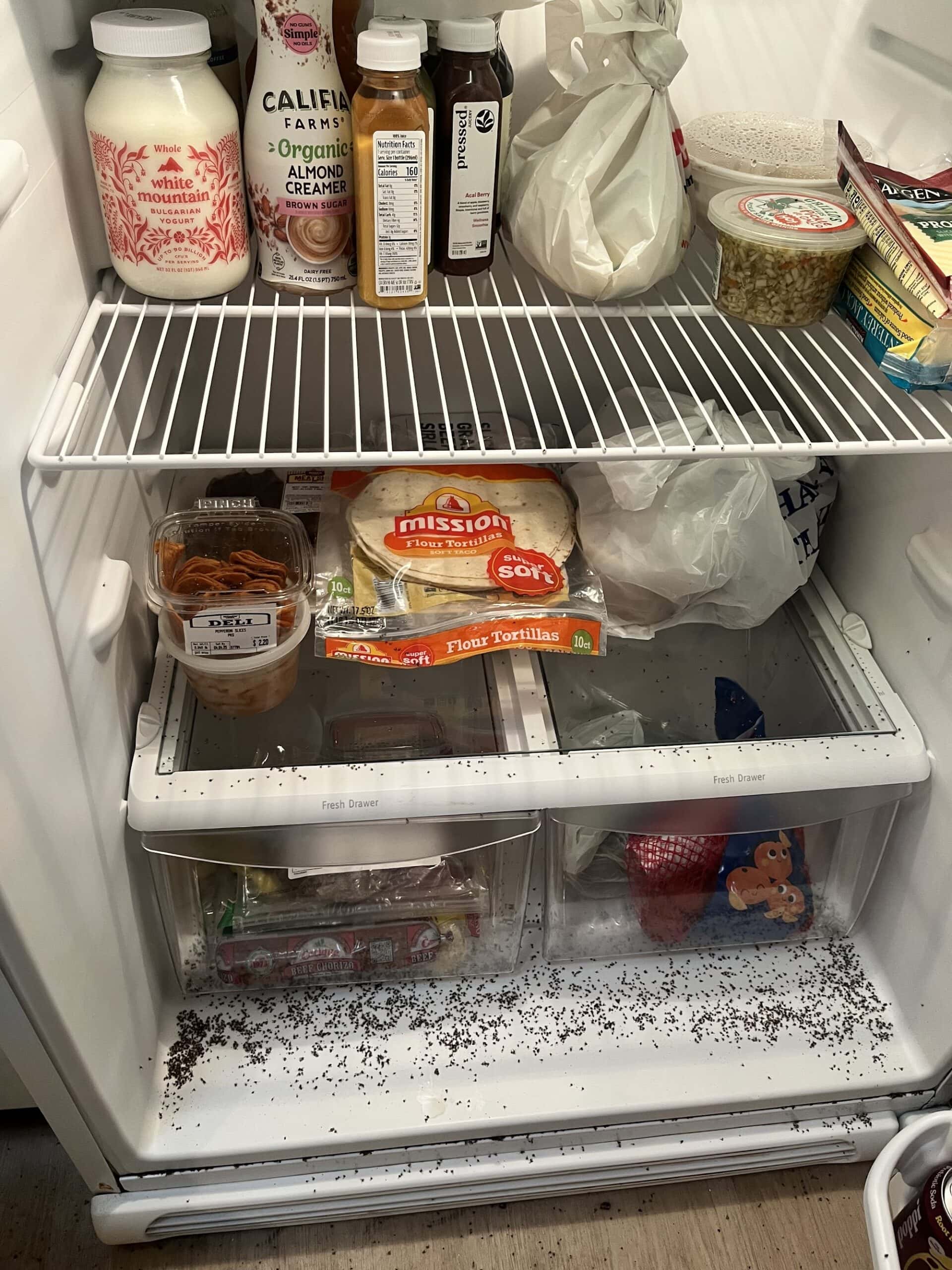 Before: dirty refrigerator